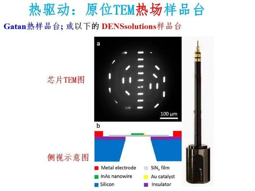 納米材料與器件中熱電效應(yīng)與應(yīng)力驅(qū)動(dòng)的電子顯微鏡研究及其在電子產(chǎn)品及元器件研發(fā)中的應(yīng)用